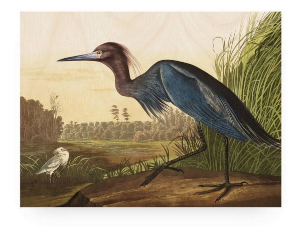 Print auf Holz _Blue Crane_ 100_75 cm