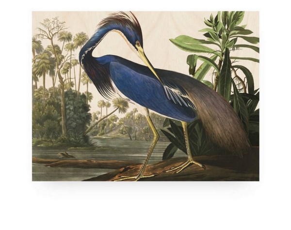 Print auf Holz _Blue Crane_ 100_75 cm