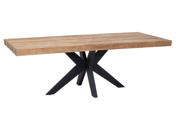 Esstisch Newton Teak natur B 260 cm